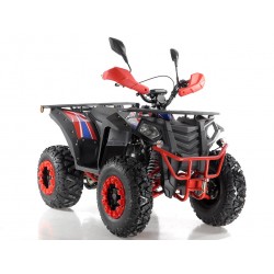 Quad Omologabile CVM COMMANDER 200 T3B EURO 5