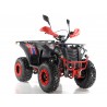 Quad Omologabile CVM COMMANDER 200 T3B EURO 5