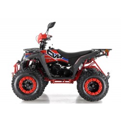 Quad Omologabile CVM COMMANDER 200 T3B EURO 5