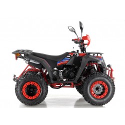 Quad Omologabile CVM COMMANDER 200 T3B EURO 5
