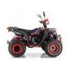 Quad Omologabile CVM COMMANDER 200 T3B EURO 5