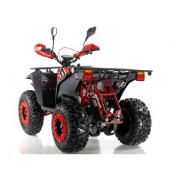 Quad Omologabile CVM COMMANDER 200 T3B EURO 5