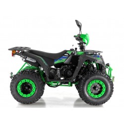 Quad Omologabile CVM COMMANDER 200 T3B EURO 5
