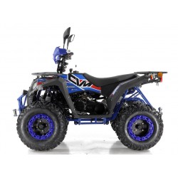 Quad Omologabile CVM COMMANDER 200 T3B EURO 5