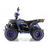 Quad Omologabile CVM COMMANDER 200 T3B EURO 5
