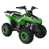 Quad CVM FX SKY 110cc