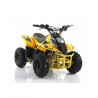 Quad CVM MIKRO 110cc