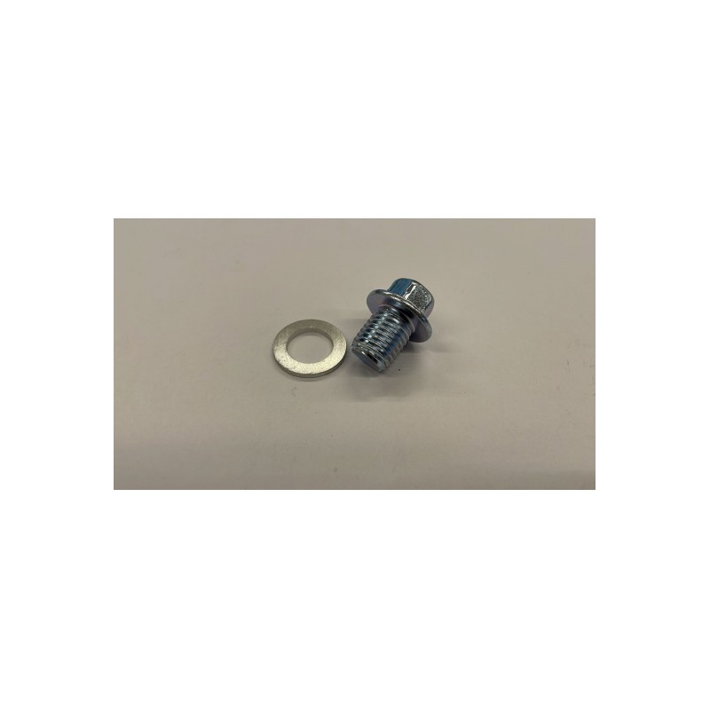 VITE TAPPO CARTER BLOCCO MOTORE GY6 QUAD KAYO AU180 180cc
