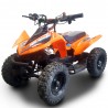 Miniquad NCX MINI MONSTER 36V 500W R6 ELETTRICO