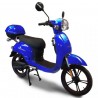 Scooter Elettrico NCX LUX-as R16 600W 48V 12Ah