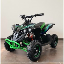 Qiuad  NCX CAYMAN 1000 W R6 ELETTRICO