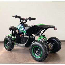 Qiuad  NCX CAYMAN 1000 W R6 ELETTRICO