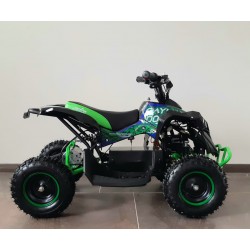 Qiuad  NCX CAYMAN 1000 W R6 ELETTRICO