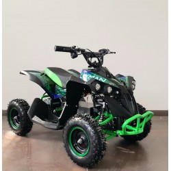 Qiuad  NCX CAYMAN 1000 W R6 ELETTRICO