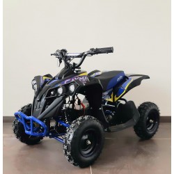 Qiuad  NCX CAYMAN 1000 W R6 ELETTRICO