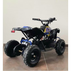 Qiuad  NCX CAYMAN 1000 W R6 ELETTRICO