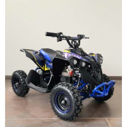 Qiuad  NCX CAYMAN 1000 W R6 ELETTRICO