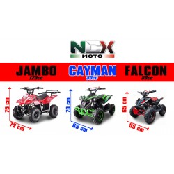 Qiuad  NCX CAYMAN 1000 W R6 ELETTRICO