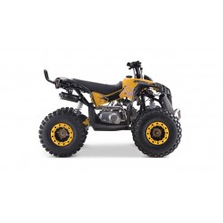 Lem QUAD RENEGADE 125