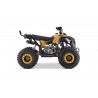 Lem QUAD RENEGADE 125
