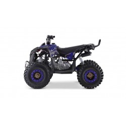 Lem QUAD RENEGADE 125
