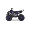Lem QUAD RENEGADE 125