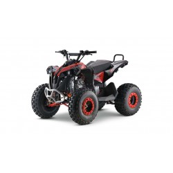 Lem QUAD RENEGADE 125
