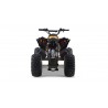 Lem QUAD RENEGADE 125