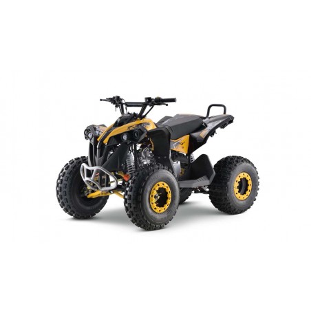 Lem QUAD RENEGADE 125