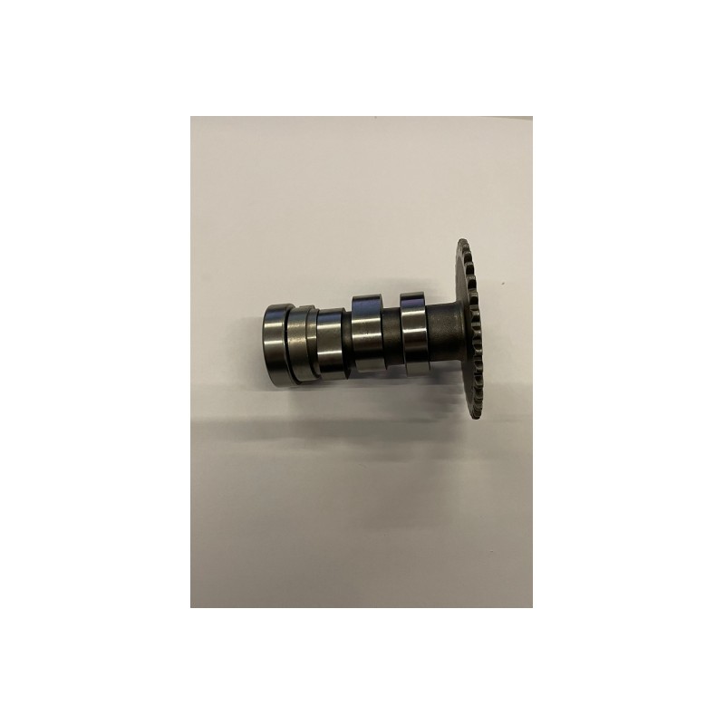 ALBERO A CAMME BLOCCO MOTORE GY6 QUAD KAYO AU180 180cc
