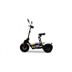 M.A.D. 1900W TARGABILE PIOMBO NEW VERSION HUB MOTOR