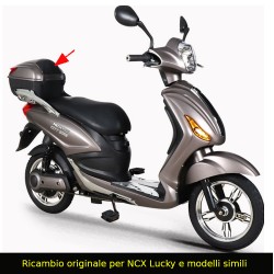 POGGIASCHIENA BAULETTO NCX LUCKY X5