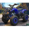 NCX T-REX 125 R7 SUPER WELL