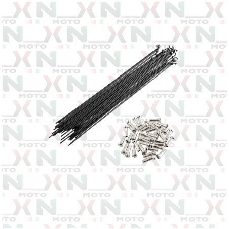 RAGGI (SET 36PZ NERO)