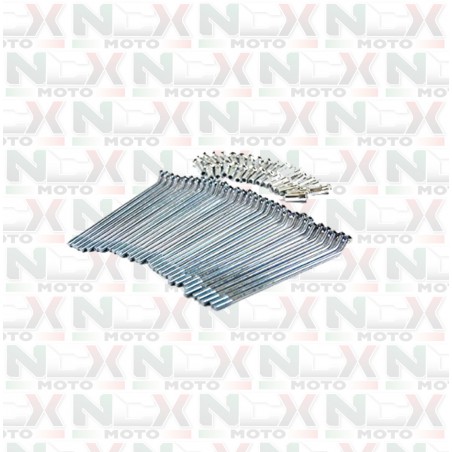 SET 32 RAGGI DA 12" 150MM CON NIPPLES