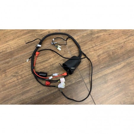 IMPIANTO ELETTRICO QUAD KAYO AT 110 AT125 MODELLO VECCHIO
0 review(s)