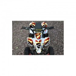 ADESIVI MINIQUAD FOX ROSSI BLU VERDI