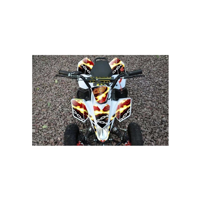 ADESIVI MINIQUAD FOX ROSSI BLU VERDI