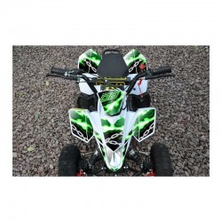Adesivi Miniquad Fox Rossi Blu Verdi