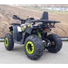 NCx MEGA HUNTER 200 CVT Maxi Quad