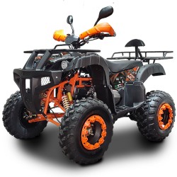 NCx MEGA HUNTER 200 CVT Maxi Quad
