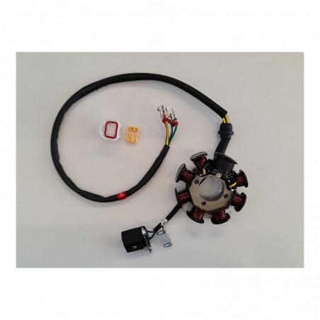 STATORE 8 BOBINE PER QUAD KAYO A250 TOR 250 250cc