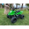 Quad Eco ATV BAMBOO 110cc