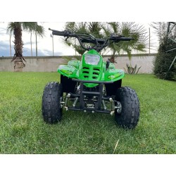 Quad Eco ATV BAMBOO 110cc