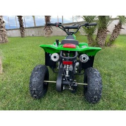 Quad Eco ATV BAMBOO 110cc