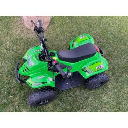 Quad Eco ATV BAMBOO 110cc
