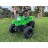 Quad CVM BAMBOO 110cc