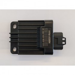 ECU CENTRALINA PER MOTORE QUAD ZS300 300CC HYM-A300N