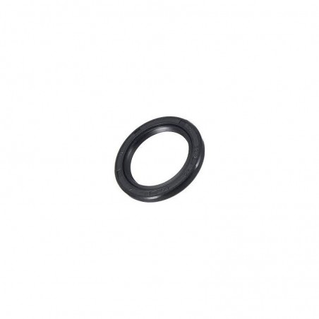 PARAOLIO MOTORE 42X30X4