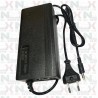 CARICABATTERIE LITIO 48V BICI ELETTRICA NCX BOOPER E SIMILI